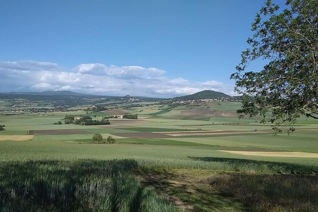 La Maisonnette Sous Le Cerisier Bergonne Екстер'єр фото